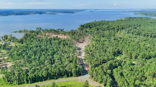 Pineland, TX 75968,003 PR 000 #Lot 3