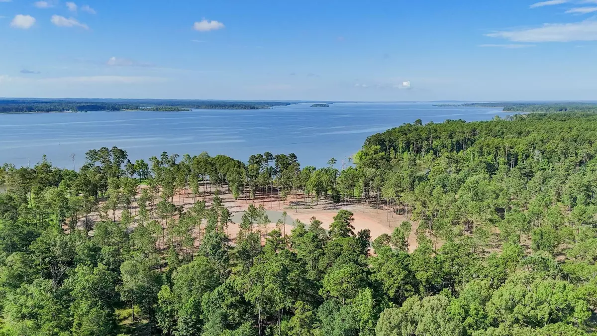 Pineland, TX 75968,003 PR 000 #Lot 3