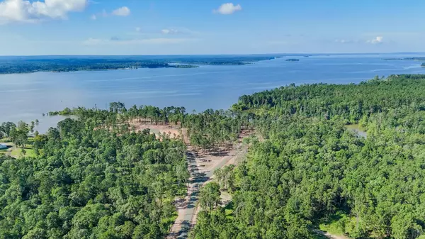 Pineland, TX 75968,018 PR 000 #Lot 18