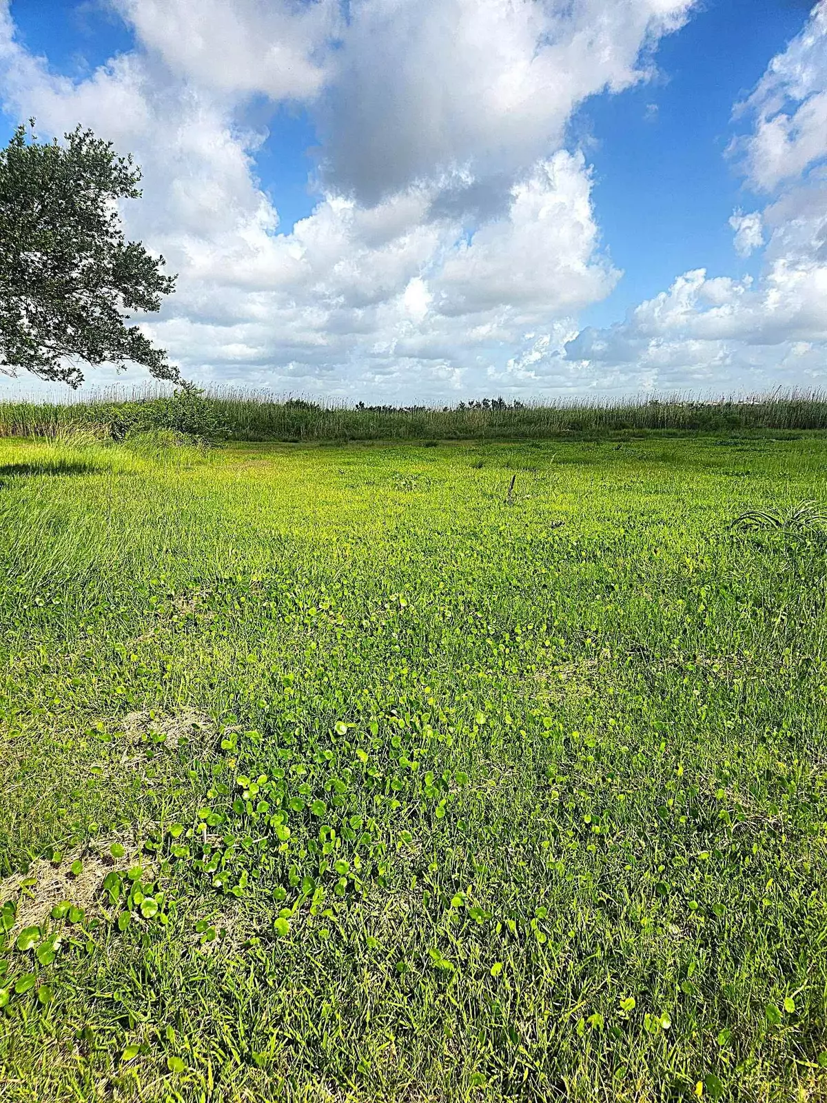 Sabine Pass, TX 77655,5625 Buford St