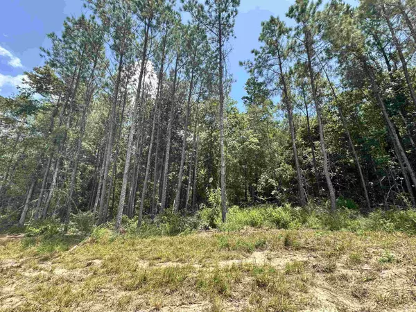 Woodville, TX 75979,TBD County Road 4210