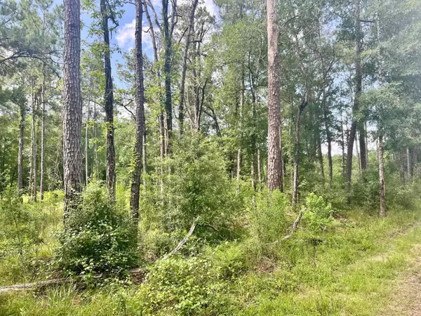 Kirbyville, TX 75956,140 PRIVATE ROAD 5172