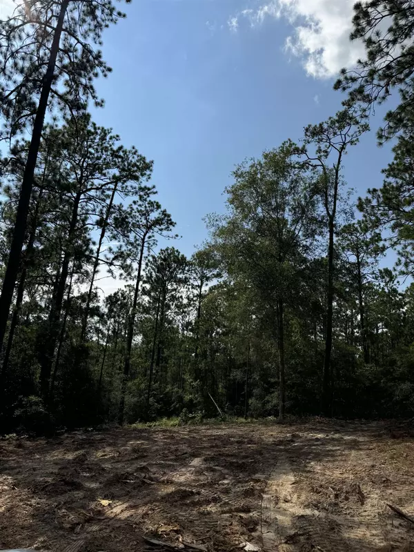Brookeland, TX 75931,565 Sparkleberry #lot 191
