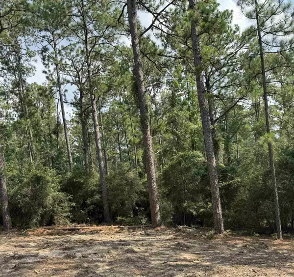 Brookeland, TX 75931,565 Sparkleberry #lot 191