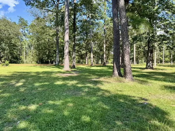 Hillister, TX 77624-9999,TBD Lakeland Ranch Lot 422