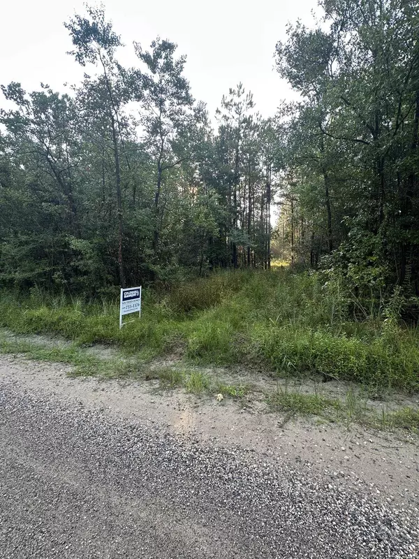 Buna, TX 77612,1655 CR 716