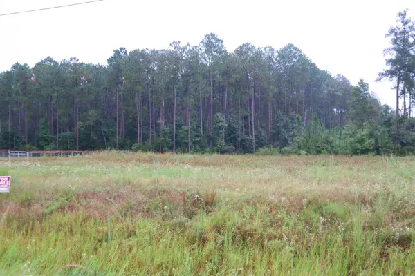 Sour Lake, TX 77659,1715 Haidlyns Way