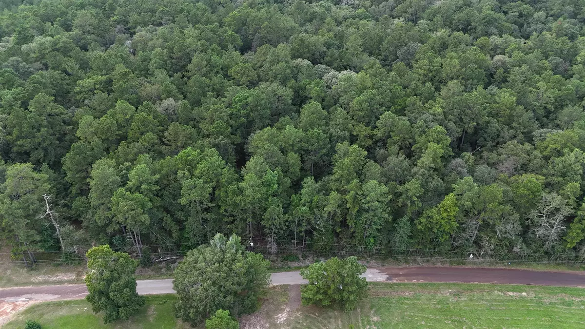 Warren, TX 77664,910 CR 1520