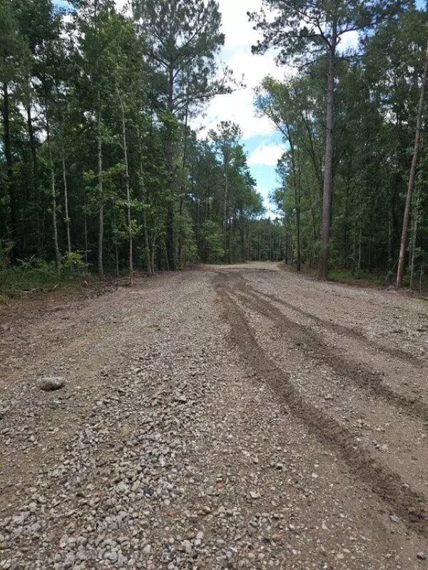 Vidor, TX 77662,375 Ellis Ln