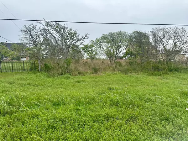 Port Arthur, TX 77640,LT 34 MLK Drive