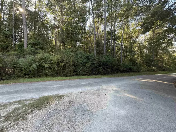 0000 Overstreet Loop, Kountze, TX 77625