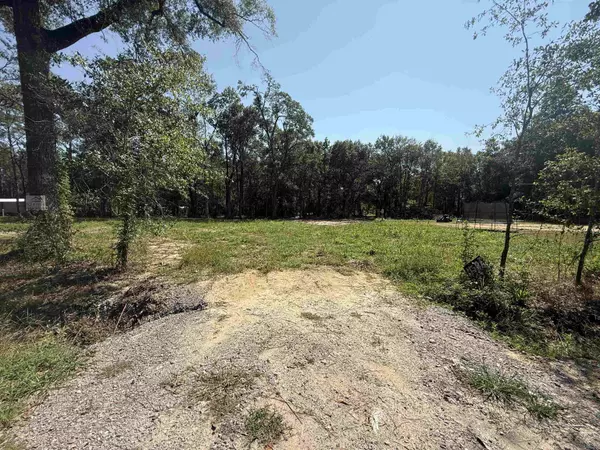 Vidor, TX 77662,1586 Antler #lot 3