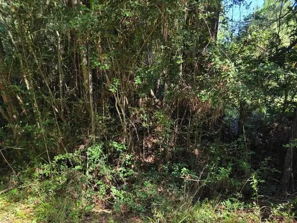 Vidor, TX 77662,000 Berwick St.