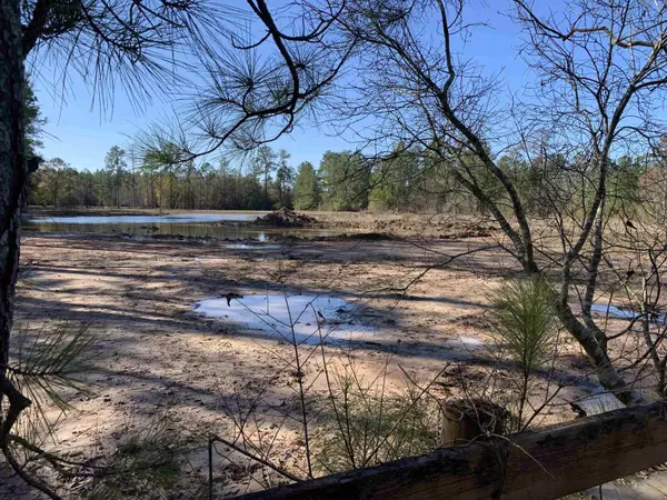 Evadale, TX 77615,240 County Road 893