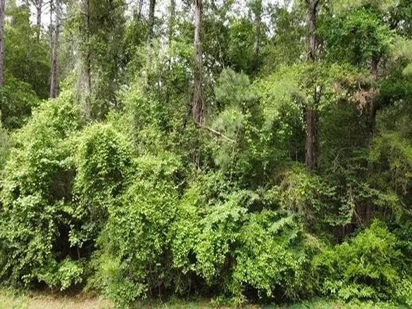 Livingston, TX 77351,5735 FM 2798