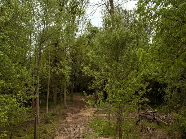 Celina, OH 45822,0 Springer 7-11 & Roadway 18 &19