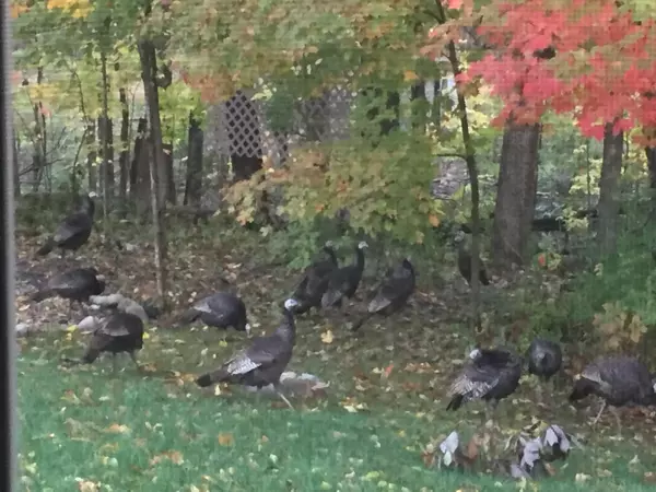 Sidney, OH 45365,914 Winter Ridge Drive