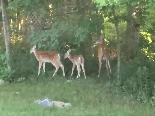 Sidney, OH 45365,914 Winter Ridge Drive