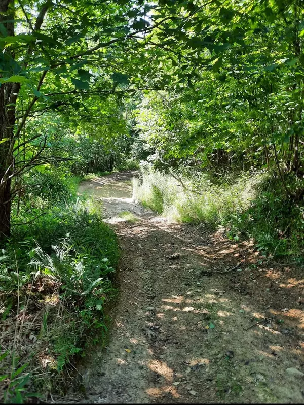 Lucasville, OH 45648,1774 Owl Creek Road