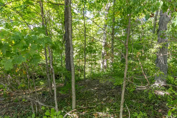 Greenville, OH 45331,0 Hickory Drive