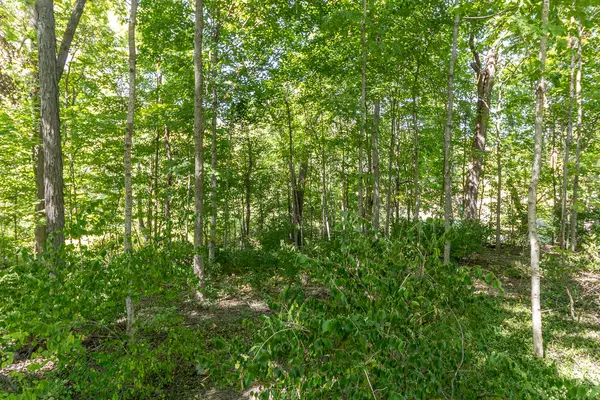 Greenville, OH 45331,0 Hickory Drive