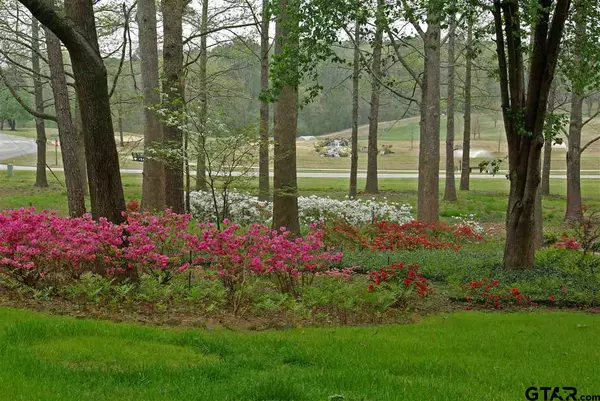 Hideaway, TX 75771,540 Woodside