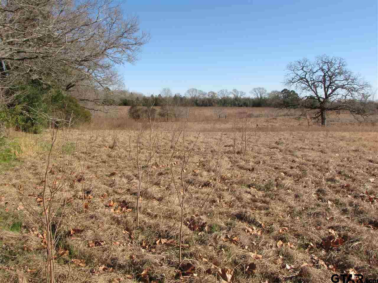 000 CR 4620, Troup, TX 75789
