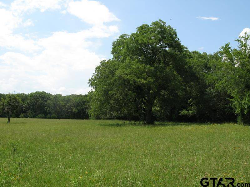 TBD County Rd 1111, Grand Saline, TX 75140