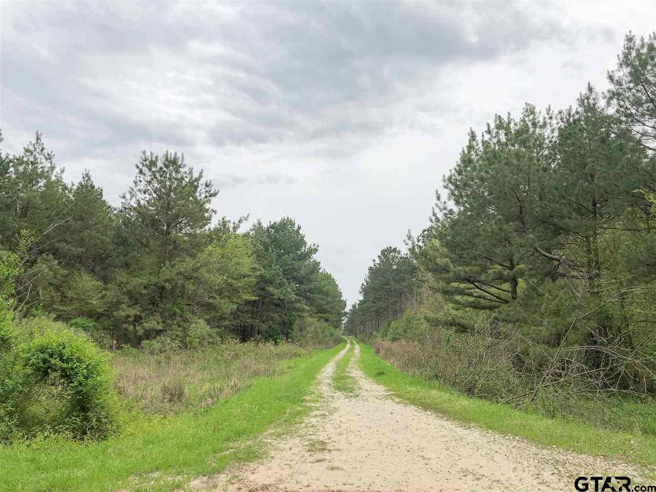 Simms, TX 75574,00 CR 4268