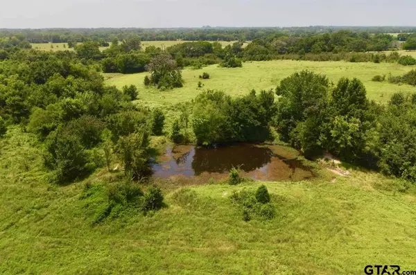 Athens, TX 75752,000 County Road 3819