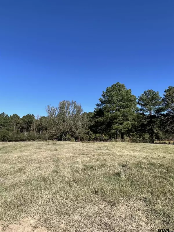 Laneville, TX 75667,4568 CR 447