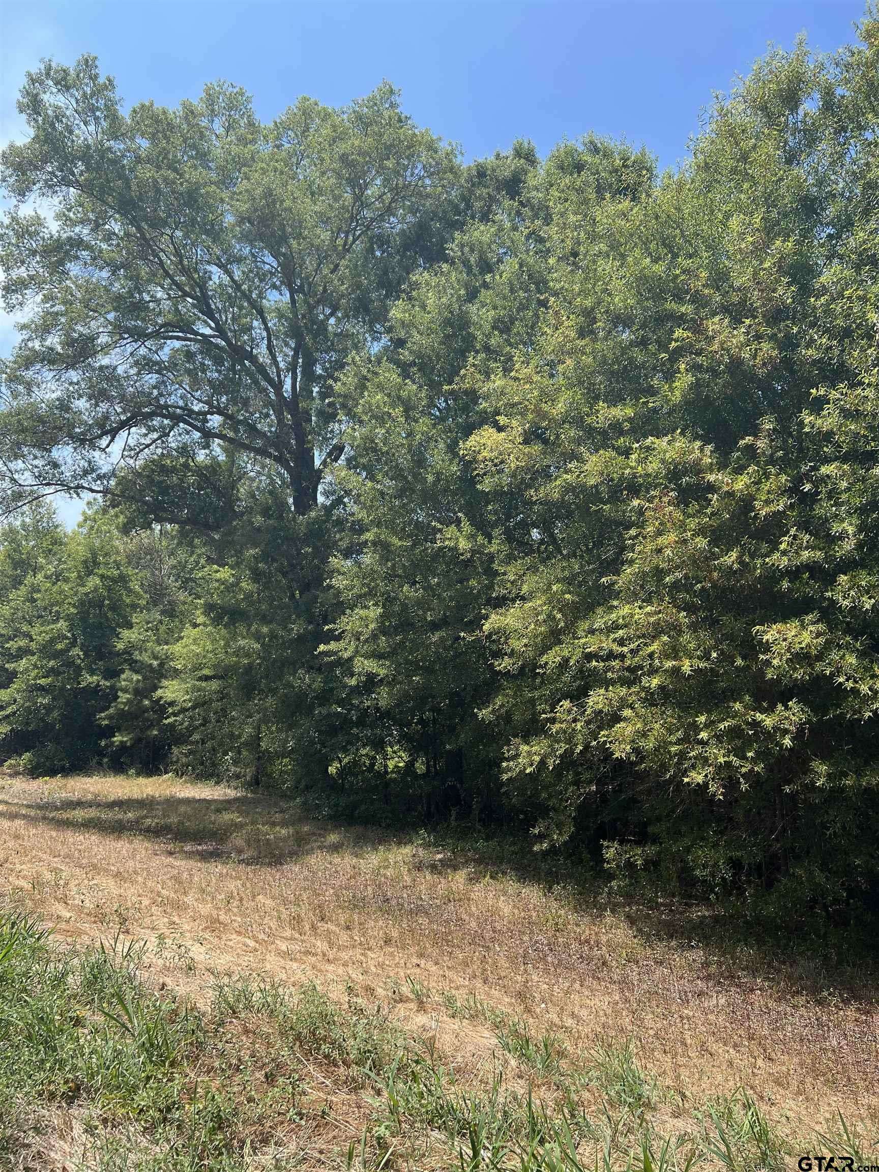 TBD FM 3042, Pittsburg, TX 75686
