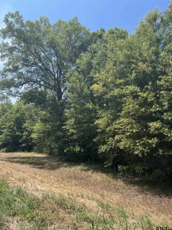 TBD FM 3042, Pittsburg, TX 75686