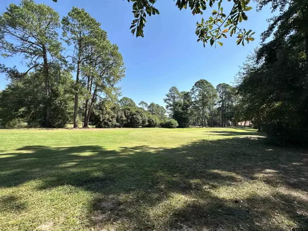 Holly Lake Ranch, TX 75765,TBD Holly Trail
