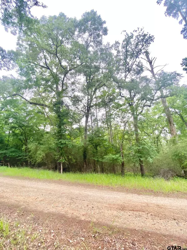 Crockett, TX 75835,TBD Forest Road