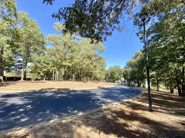 Frankston, TX 75763,Lot 21 Leisure Ln