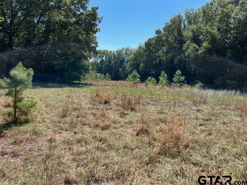 TBD CR 3526, Cuney, TX 75759