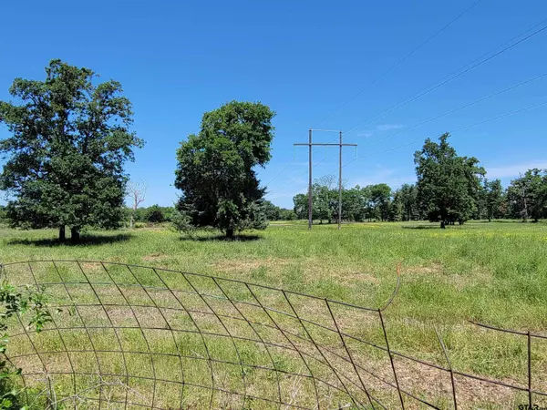 Yantis, TX 75497,LOT 17 CR 1730