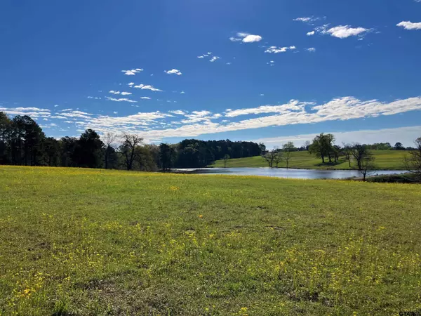 Big Sandy, TX 75755,Lot 49 White Oak Creek Ranch
