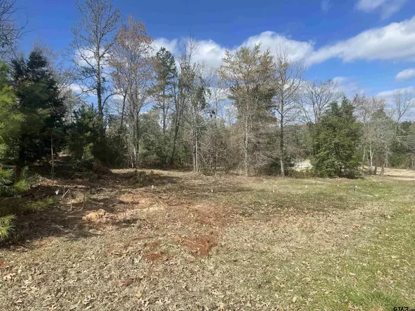 Hawkins, TX 75765,Lot 6 CR 3545