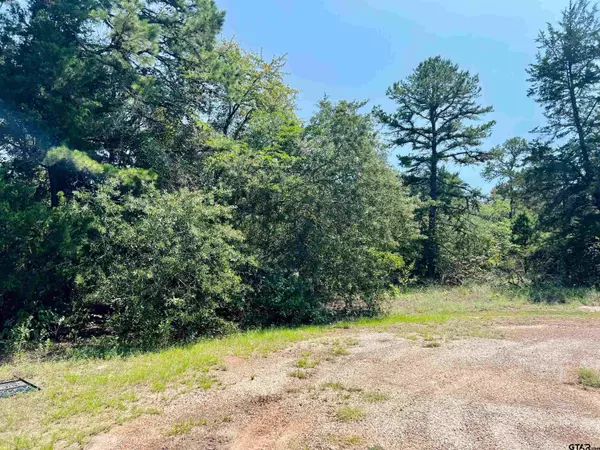 Scroggins, TX 75480,Lot 450 Pine Valley / Charlya