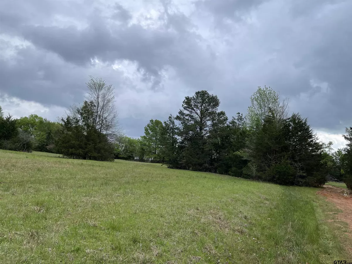 Mt Vernon, TX 75457,Lot 19 Hunters Hollow