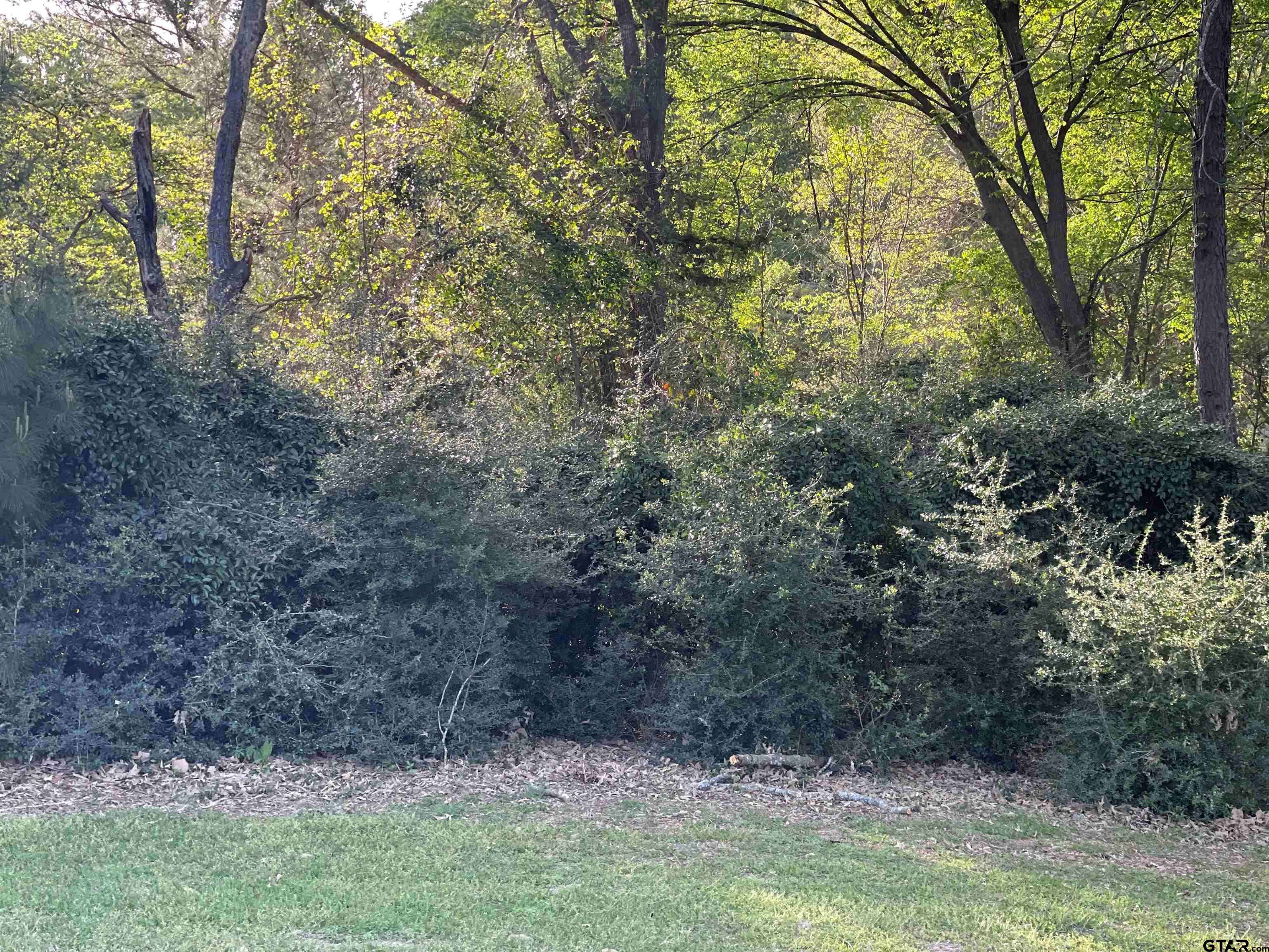 Holly Lake Ranch, TX 75765,TBD LOT 382 Greenbriar