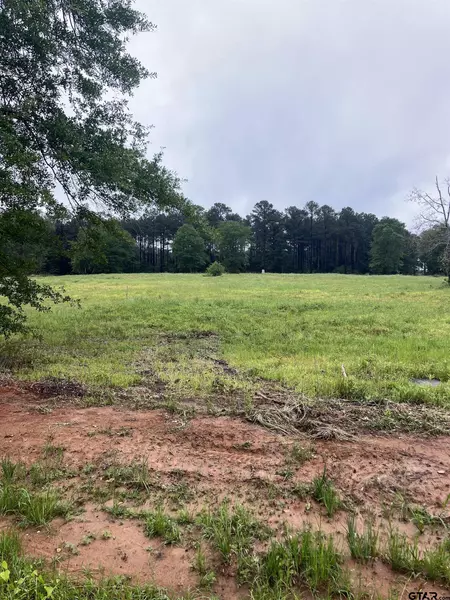 Lot 1 CR 2138, Troup, TX 75789