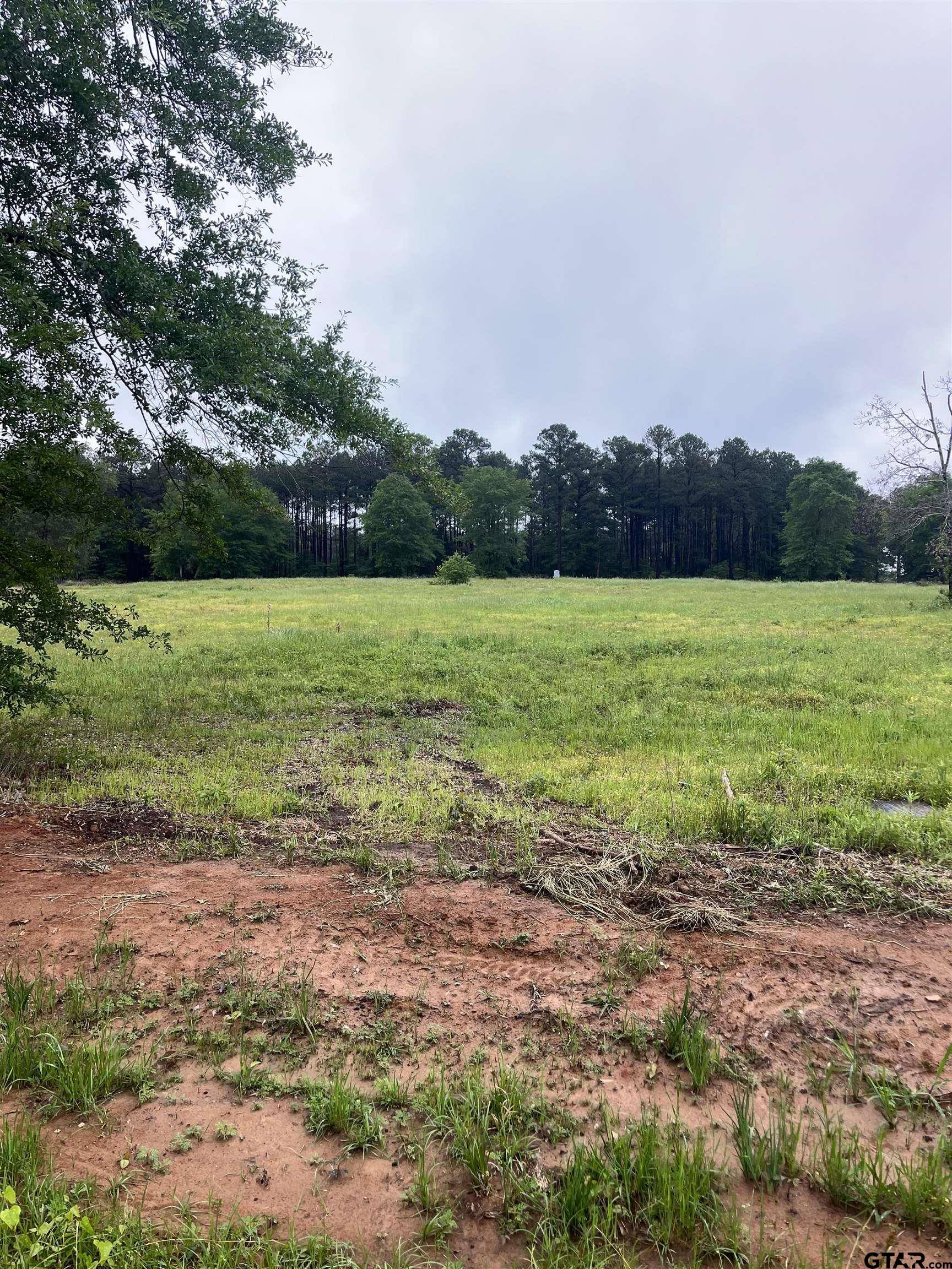 2051 CR 2138, Troup, TX 75789
