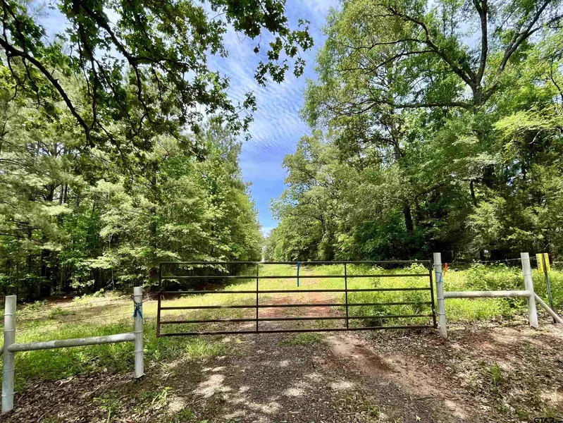 3825 FM 2064N, Troup, TX 75789