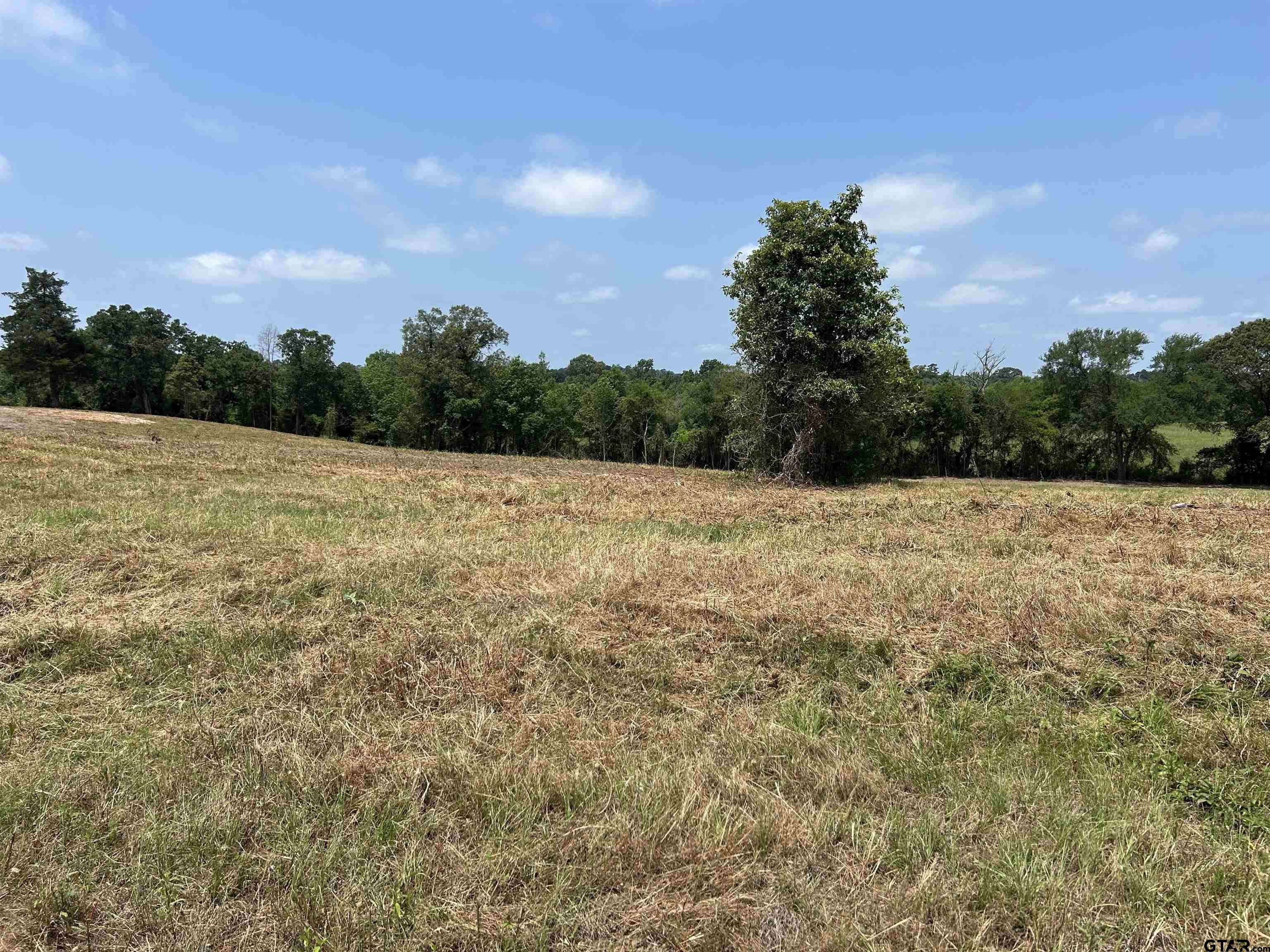 Troup, TX 75789,LOT 1 TBD COUNTY ROAD 2166