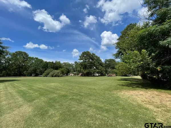 Frankston, TX 75763,TBD Lot 22,23 & 24 ACR 308