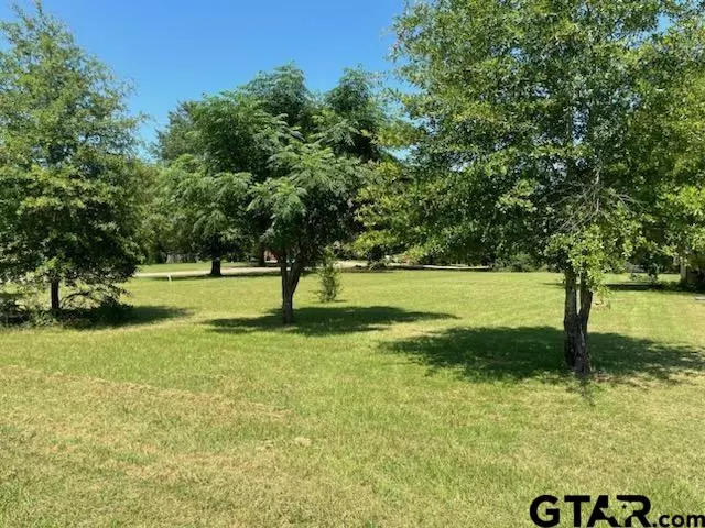 Frankston, TX 75763,TBD Lot 22,23 & 24 ACR 308
