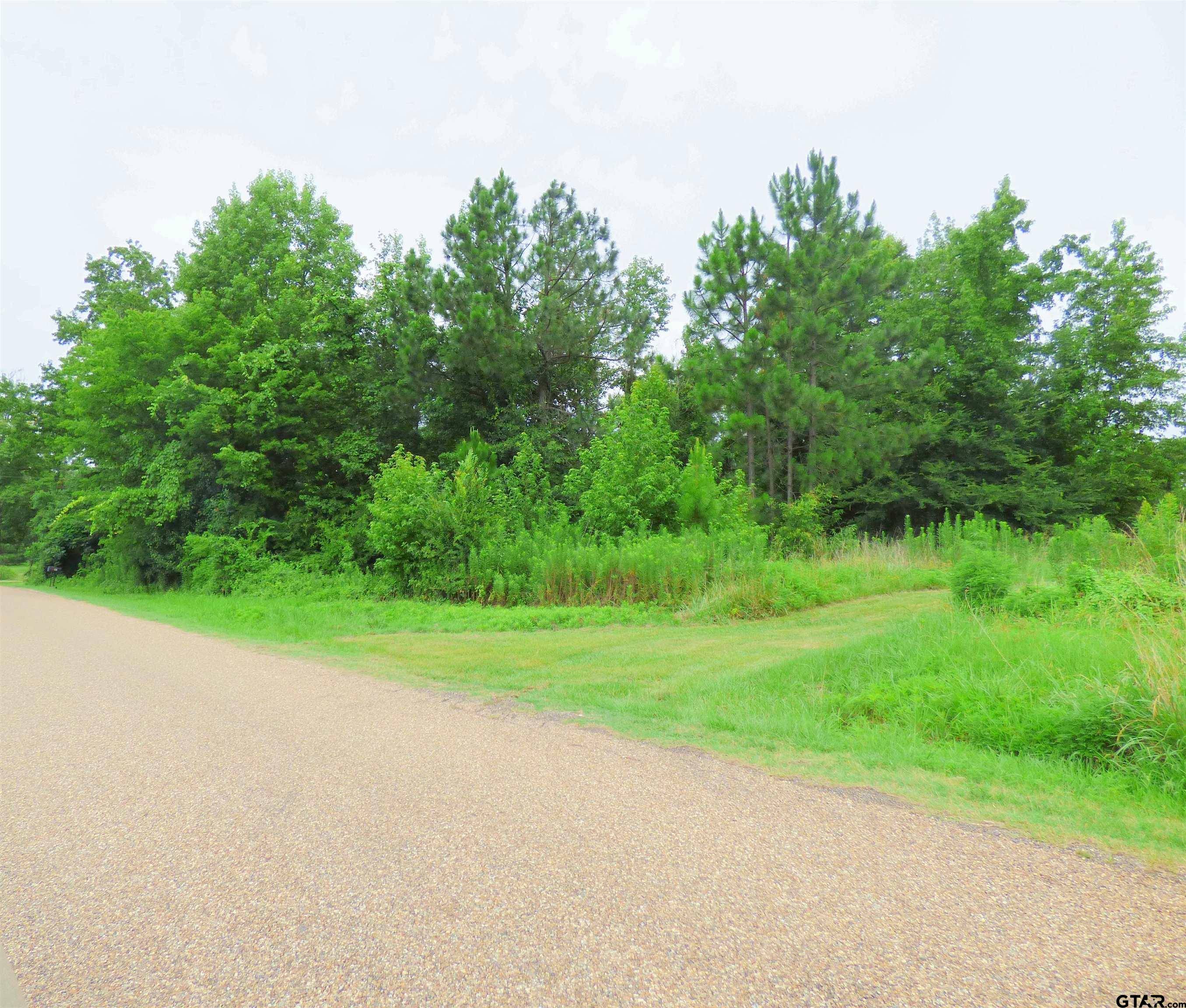 Mt Pleasant, TX 75455,Lot 3 CR 1520